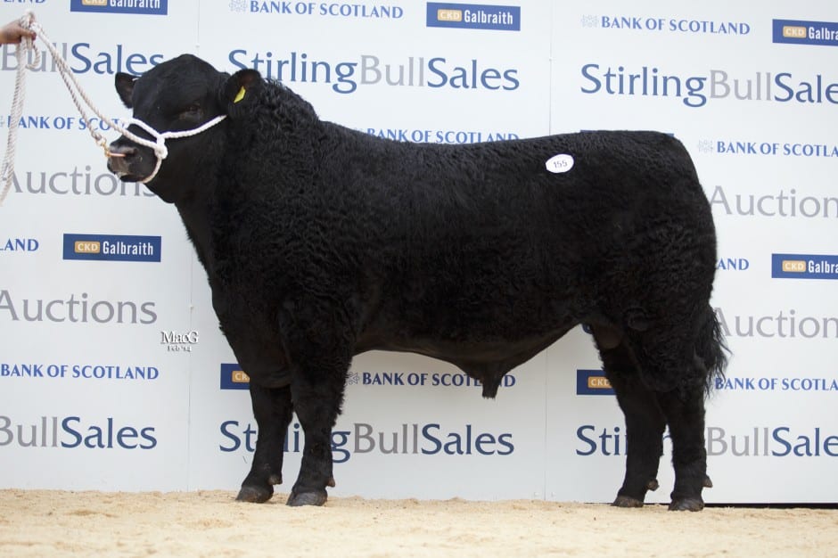 Lot 155 Tonley Essex, sold for 13,000gns to M&S Wilson, Newbank
