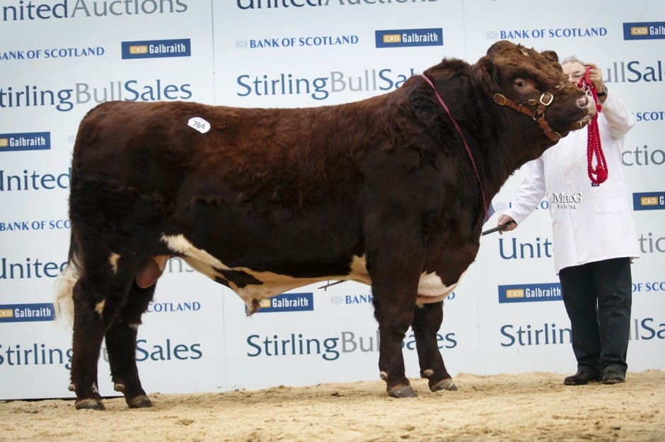 Lot 264 Millerston Fine Ideal, sold for 10,500gns to H Horrell, Pode Hole Farm