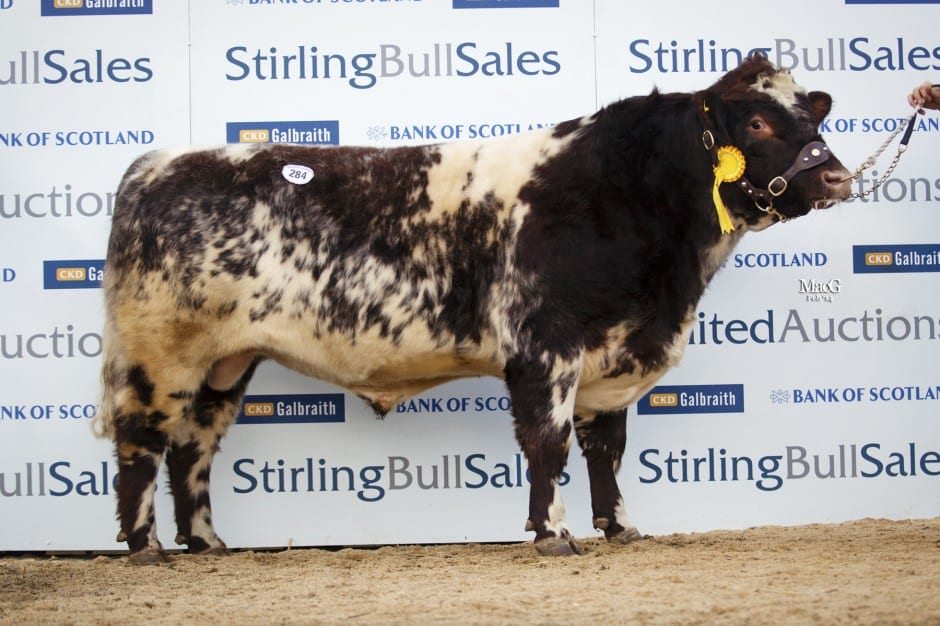 Lot 284, Fearn Foulis sold for 8500gns to WJ & J Green, Corskie