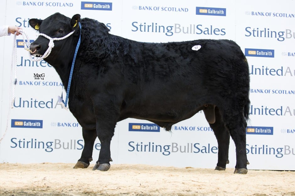 Lot 97 Inkstack Ely, sold for 12,000gns to FJ Fraser & Son, Idvies