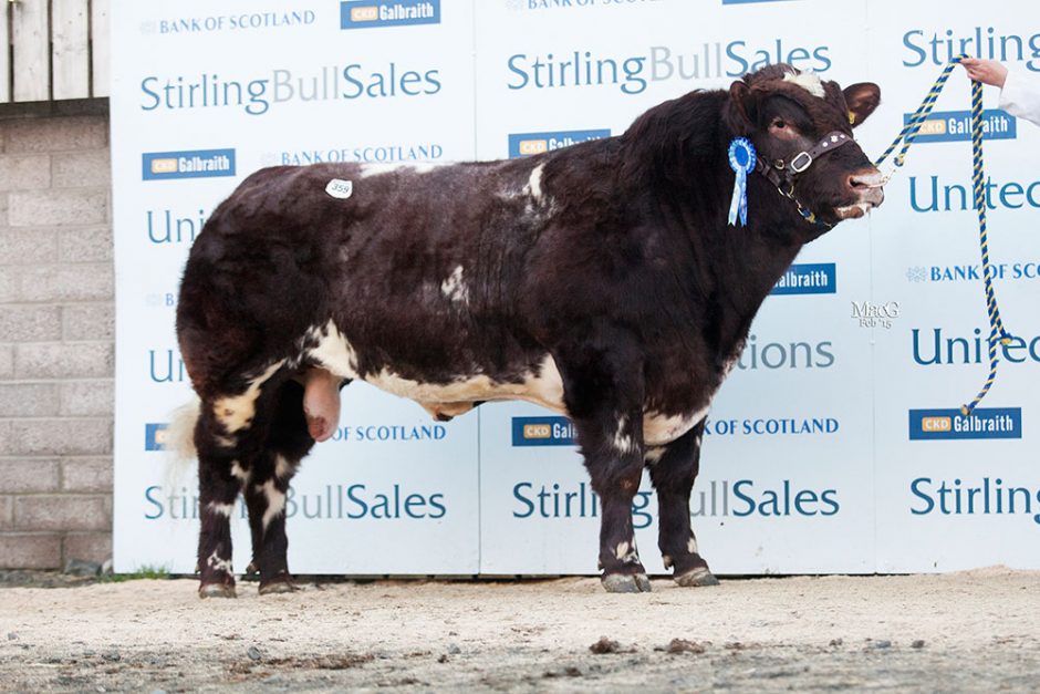 359-Meonhill-Granville-9000gns-7805