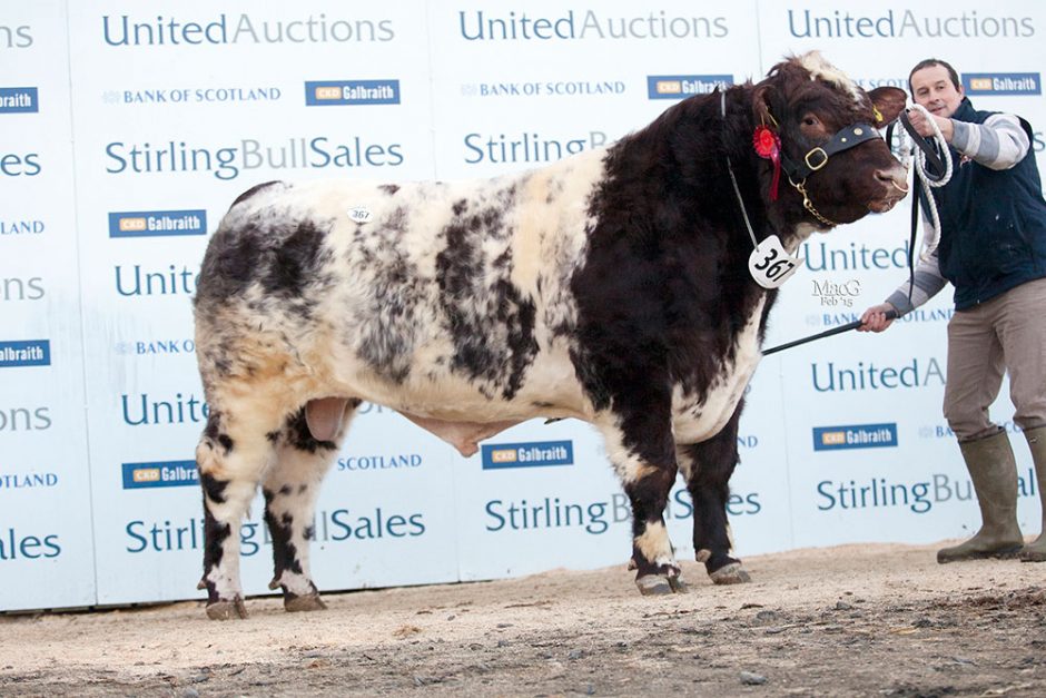367-Balgay-Gorgoroth-13000gns-7686