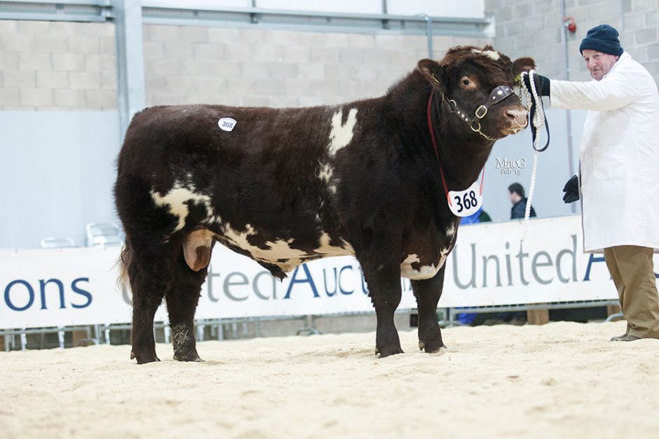 368-Fearn-Godfather-10000gns-7891