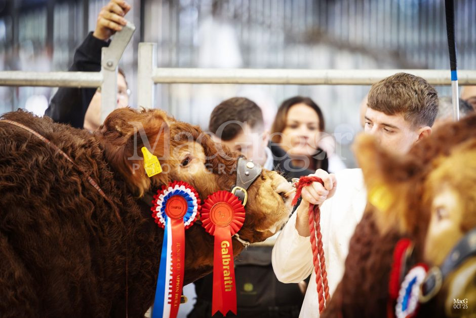 Stirling - Limousin - Oct '25